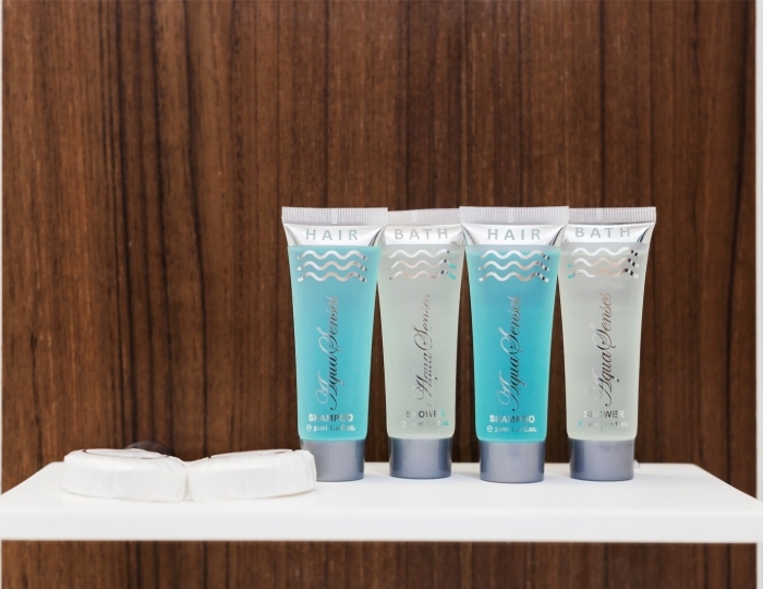 Стандарт TWIN с видом на горы (без балкона) - Отель Hotel Collection / Лавикон