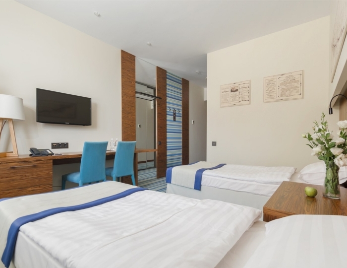 Стандарт TWIN с видом на горы (без балкона) - Отель Hotel Collection / Лавикон